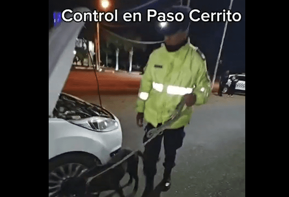 Un operativo policial en Paso Cerrito derivó en allanamientos y secuestro de drogas: Una pareja fue detenida