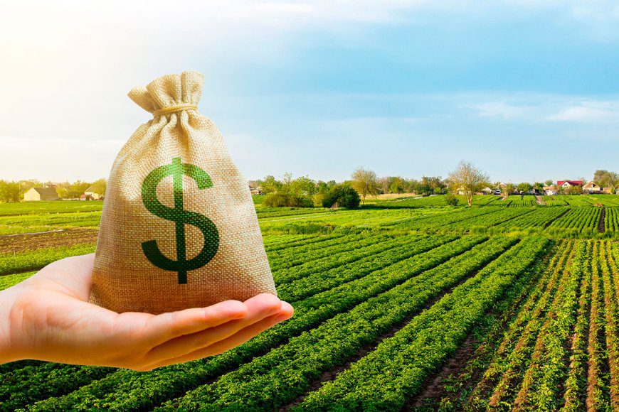 Con el incremento de las retenciones los productores de Entre Ríos, Santa Fe y Córdoba perderán $971 millones adicionales