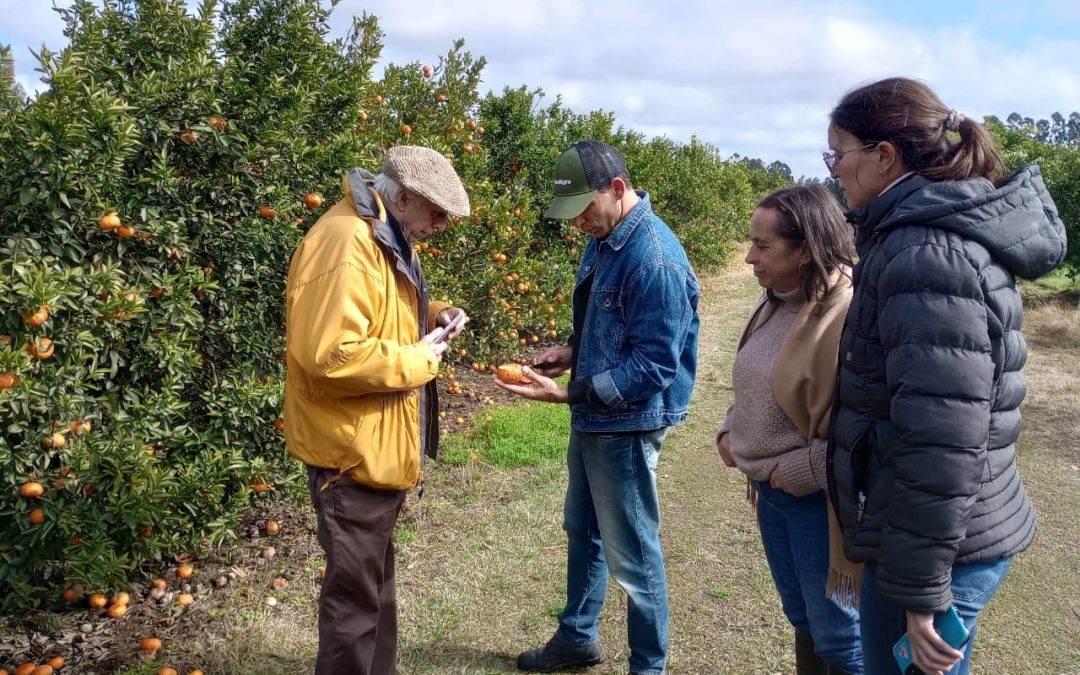El ministro Bernaudo y citricultores recorrieron quintas afectadas por las heladas y renovaron el convenio de HLB