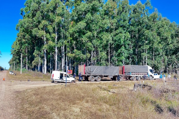 Estado de salud del conductor del utilitario que se accidentó en Colonia Villa del Rosario: «Germán está estable y consciente»