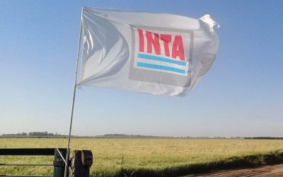 Alertan por el vaciamiento y los recortes en el INTA: “Nos vamos empobreciendo”