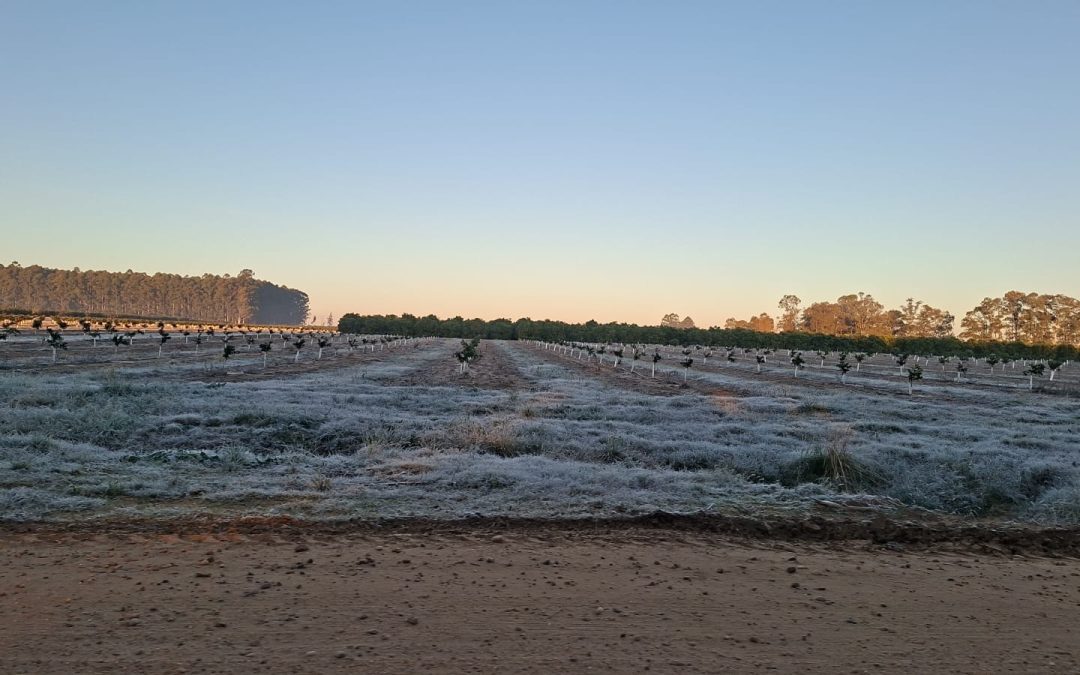 Martes helado en Villa del Rosario y la región