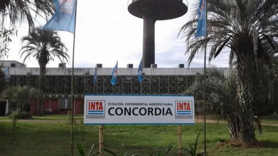 Decretaron la “transformación” del INTA y trabajadores ponen en marcha un plan de lucha