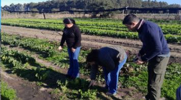 Federación fortalece la producción local con diferentes acciones