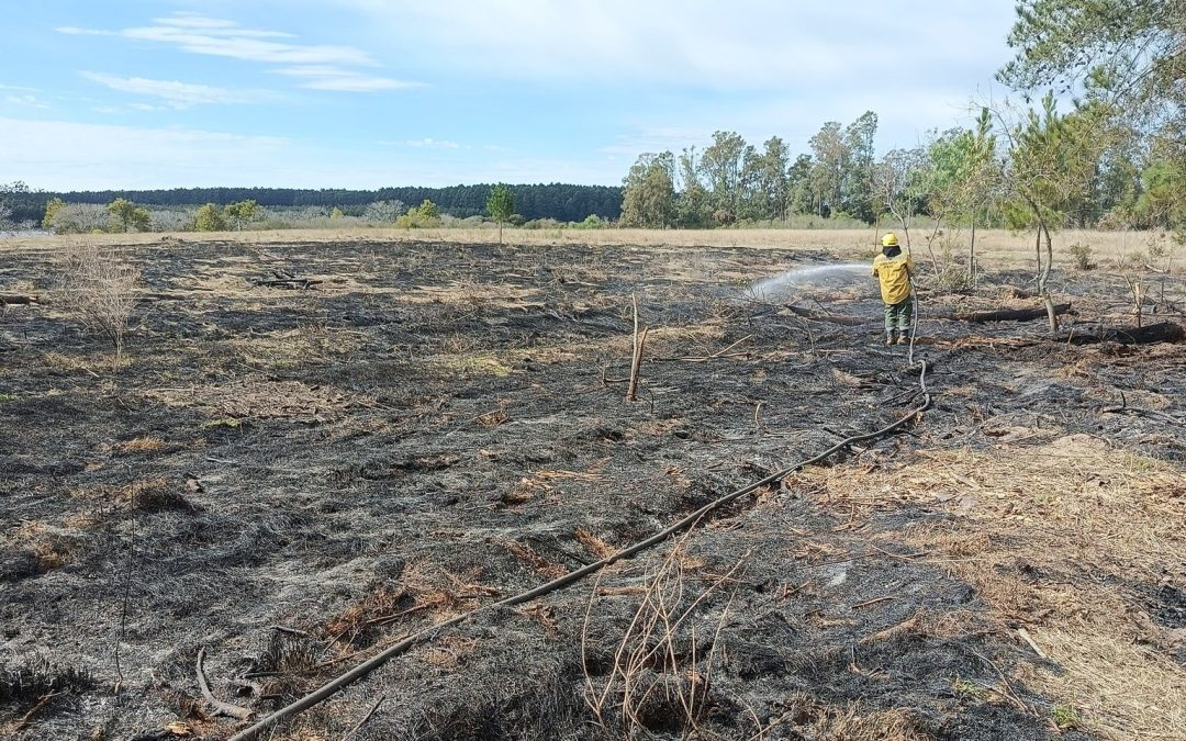 Bomberos de Villa del Rosario extinguieron un incendio de pastizales en zona rural de Santa Ana