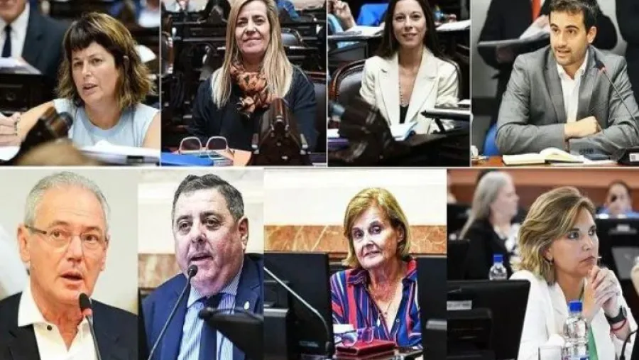 Declaraciones Juradas: el patrimonio de los 12 legisladores nacionales por Entre Ríos y quiénes son los 3 que encabezan el ranking