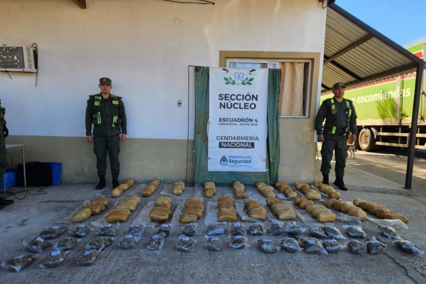 Droga por encomienda: incautan 50 kilos de marihuana tras entrega controlada conducida desde Entre Ríos
