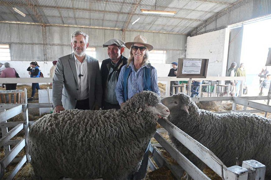 Pese a su alianza con Milei, Frigerio dijo: “Nunca antes los gobiernos provinciales tuvieron tantas responsabilidades y tan pocos recursos, pero no es excusa”