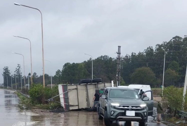 Cuatro toros quedaron sueltos en la Autovía 14 tras el vuelco de un acoplado