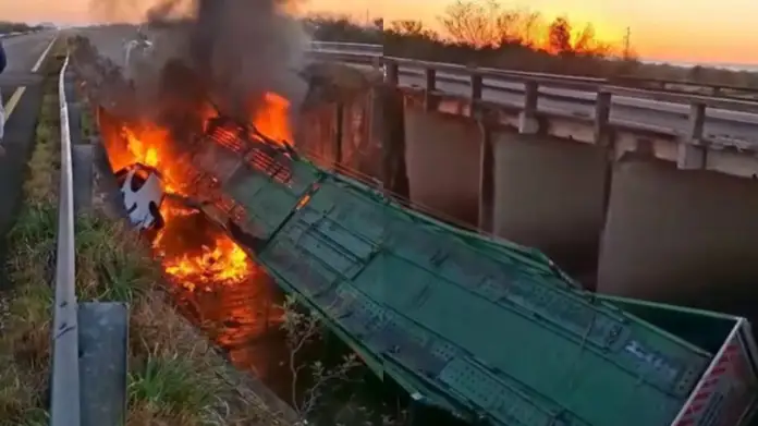 Otra tragedia en Autovía 14: un camión que transportaba autos se prendió fuego y murió el chofer