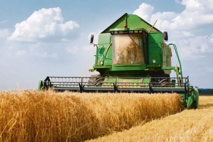 Productores desilusionados: “Ascendí al cerro con la noticia de que sacaban las retenciones y cuando bajé todo había terminado”