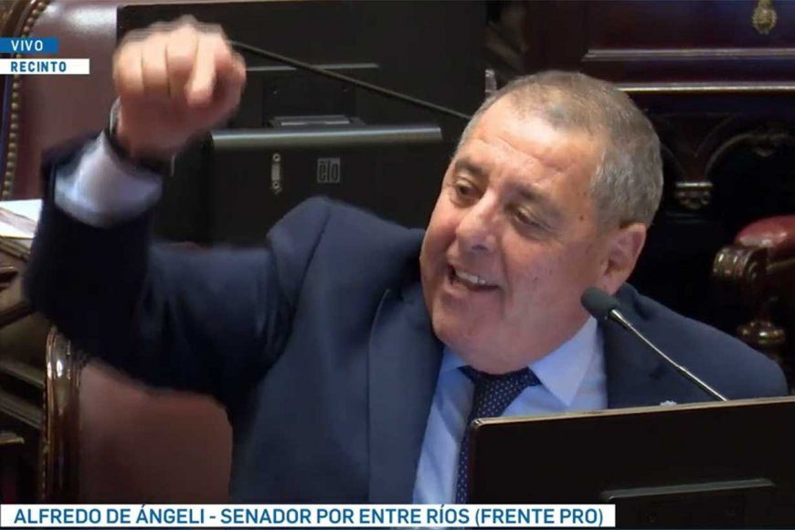 De Ángeli, molesto por la vuelta de las retenciones: Pidió “reglas claras, no parches cortoplacistas”