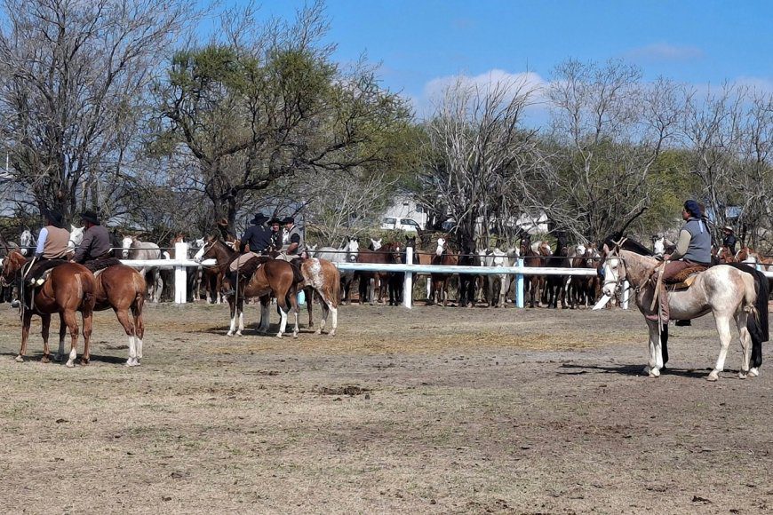 Juez rechazó amparo que buscaba prohibir jineteadas en localidad entrerriana