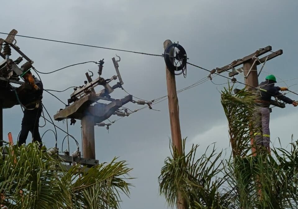 El incendio de un nido de loros provocó la interrupción del suministro eléctrico en Villa del Rosario