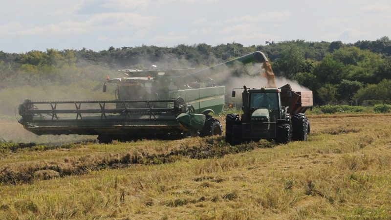 “El pequeño y mediano productor siempre la ve pasar”, dicen desde la Federación Agraria de Entre Ríos