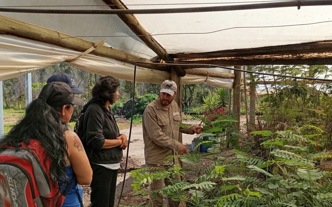 Alumnos del Taller de Huerta Comunitaria visitaron el Vivero Municipal