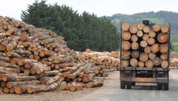 Proponen conformar en Villa del Rosario un Cluster para la Construcción de valor Agregado de Residuos de Aserraderos