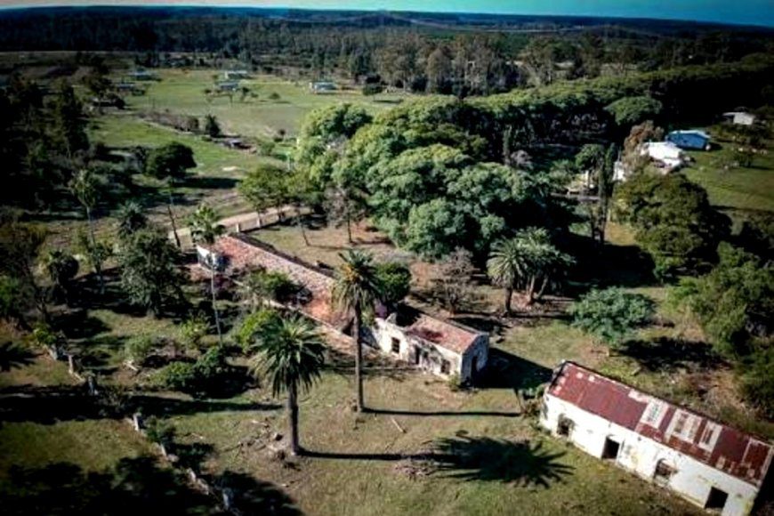 Polémica: Malestar del ex senador Miguel Piana por un proyecto de su autoría, con media sanción en el Senado, que ahora es impulsado por la diputada Lena