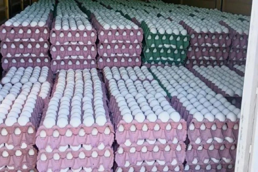 Decomisaron 36 mil huevos que eran transportados sin la documentación correspondiente