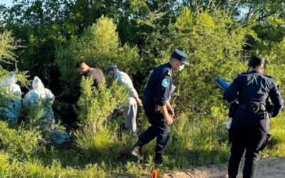 Hallaron un cráneo y restos óseos en un campo e investigan si son del chofer asesinado por Pablo Laurta