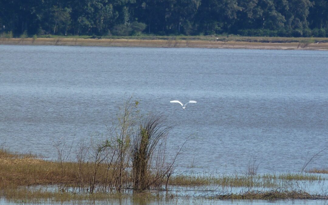 Trágico hecho en Santa Ana: Un vecino cayó al lago mientras pescaba y falleció