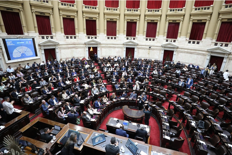 Diputados declaró la nulidad del decreto que suspendía la Ley de Emergencia en Discapacidad