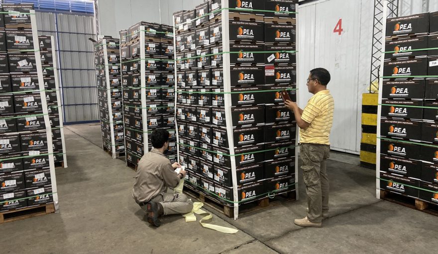 SENASA certificó el primer envío de naranjas desde Entre Ríos a Ecuador con tratamiento cuarentenario