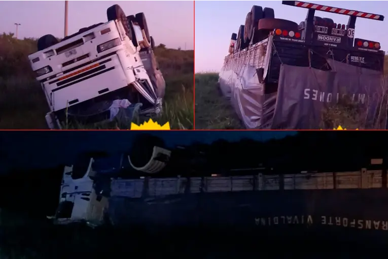 Volcó un camión que transportaba madera sobre la ruta nacional 127