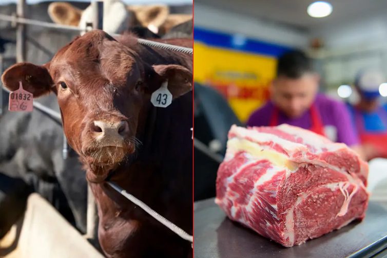 El precio de la carne seguirá subiendo “por falta de hacienda y mayor demanda internacional”