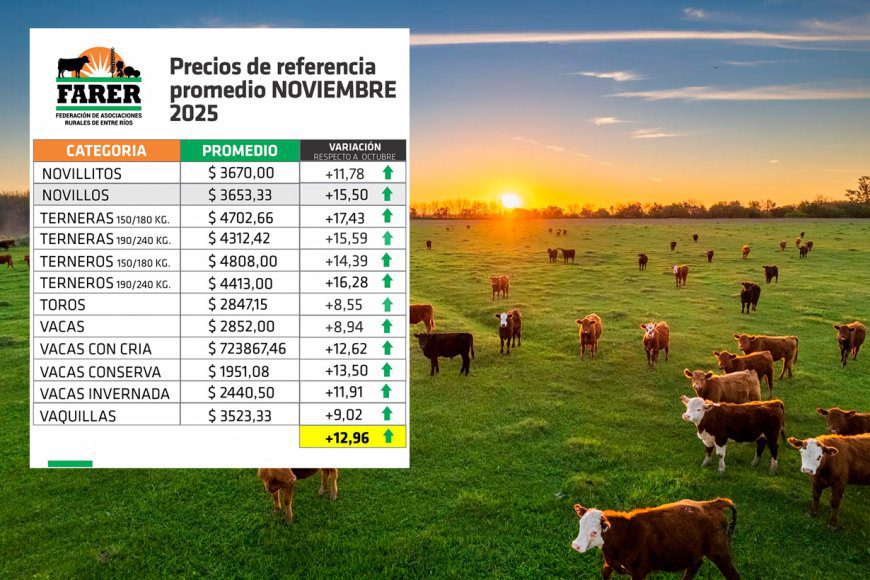 El ganado subió el precio casi un 13% durante noviembre en Entre Ríos