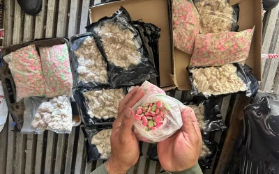 La Justicia Federal de Concordia desbarató el traslado de casi 8 kilos de metanfetaminas y detuvo a tres personas