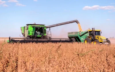 El Gobierno oficializó la baja de las retenciones para la soja, el maíz, el trigo, la cebada, el sorgo y el girasol