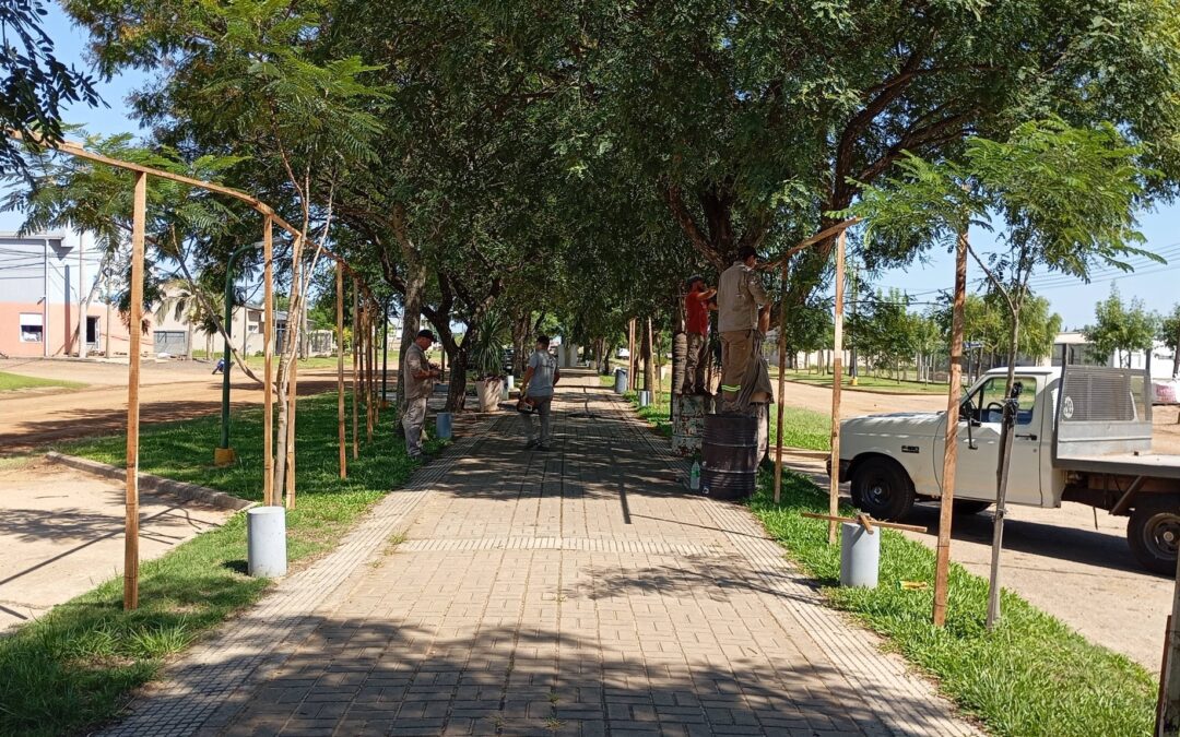 Comienzan los preparativos para la XVIII Fiesta Provincial del Inmigrante