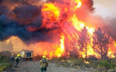 Entre Ríos envía brigadistas a Chubut para apoyar el control de incendios forestales