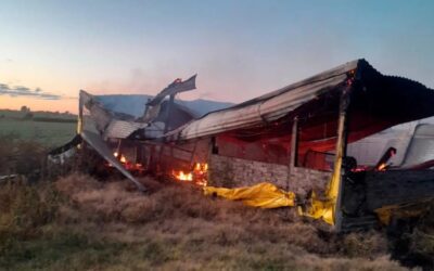 Un incendio arrasó un galpón en Entre Ríos y murieron 500 cerdos