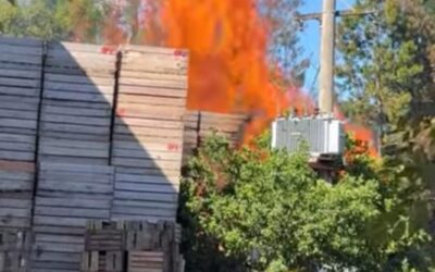 Bomberos de Villa del Rosario controlaron un incendio en establecimiento citrícola