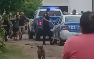 El acusado de matar a una mujer en Gualeguay fue hospitalizado en Salud Mental tras intento de suicidio