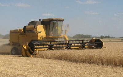 Las exportaciones entrerrianas crecieron en 2025: China y Brasil los principales compradores