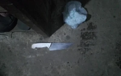 Una mujer logró escapar de una vivienda donde la mantenían atada y la golpeaban