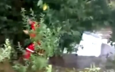 Un hombre murió luego de que su auto fuera arrastrado hacia un arroyo