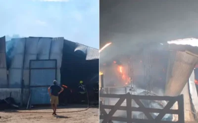 Incendio arrasó un galpón con fardos y maquinarias en zona rural de Federación: las pérdidas son totales