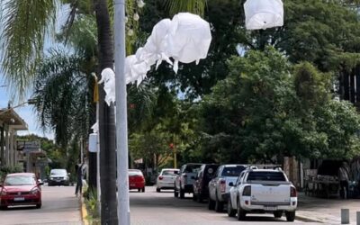 A 50 años del golpe cívico-militar: En Federación se colocaron pañuelos blancos en la principal avenida