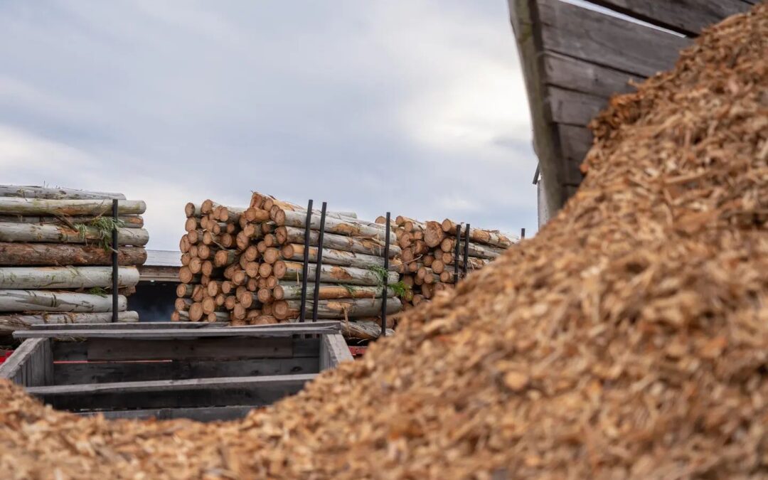Crisis en la industria maderera: en Federación ya cerraron unos 30 aserraderos y crece la preocupación