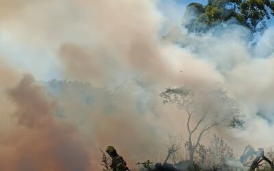 Bomberos de Villa del Rosario y Chajarí extinguieron un incendio de pastizales a la vera del lago de Salto Grande