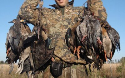 Reclamo de ambientalistas al Gobierno provincial: exigen participar de la audiencia sobre la caza de aves autóctonas en Entre Ríos