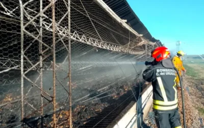 Incendio en galpón con gallinas: colapsó el techo y murieron miles de aves