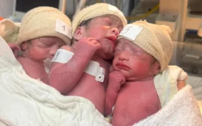 “Tres latidos únicos e irrepetibles”: las primeras imágenes de los trillizos nacidos en hospital de la región