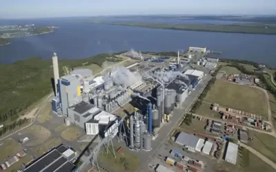 El río Uruguay bajo amenaza: empresas extranjeras, controles vaciados y una CARU sin dientes