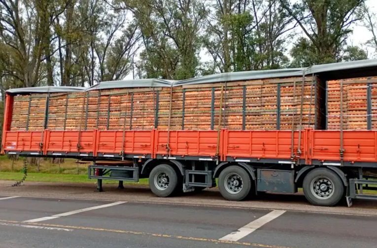 Chofer de la región denunció que lo secuestraron en Santa Fe, robaron su camión y lo liberaron en Córdoba