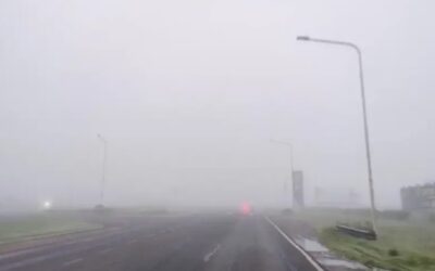 Emitieron alerta violeta por niebla en toda Entre Ríos: advierten por fuerte reducción de visibilidad